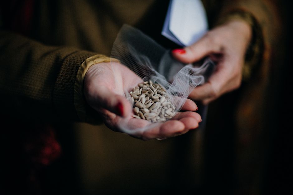 Pakiranje sjemena u papirnate vrećice
