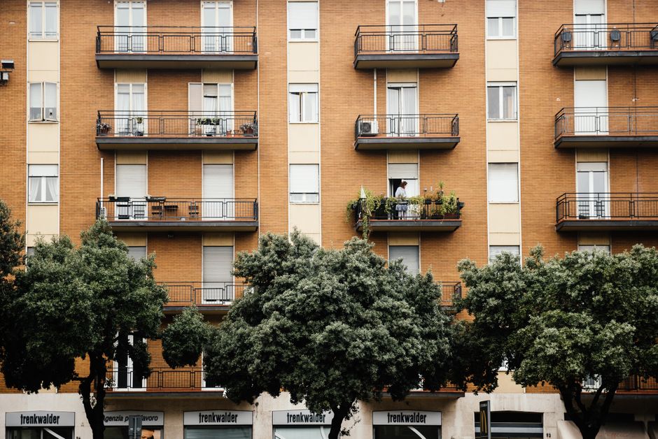 Sjeverni balkon nije izgubljen: što stvarno raste u sjeni