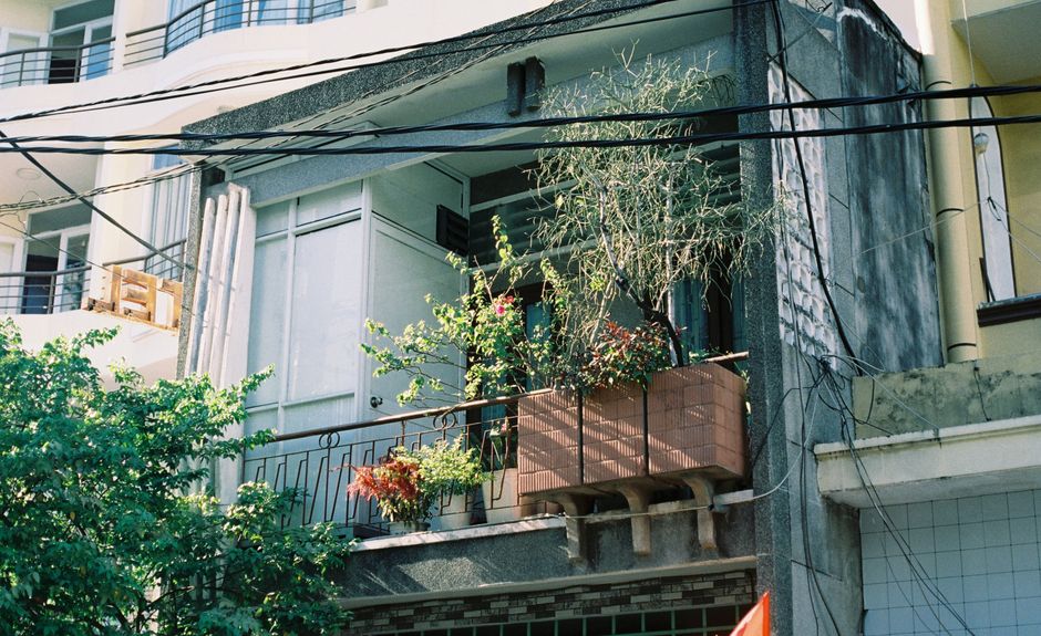Južni balkon: 12 biljaka koje ne pregore u kolovozu