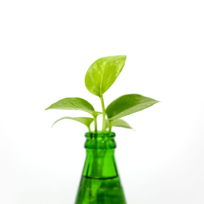 Organska prihrana 500 ml