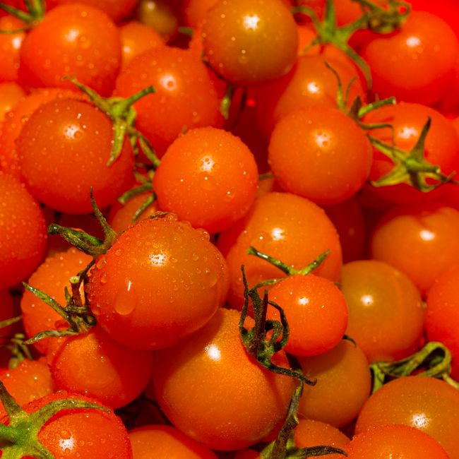Cherry rajčica 'Balkonstar', sjeme